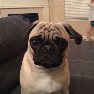 Meet your Posher, Laura